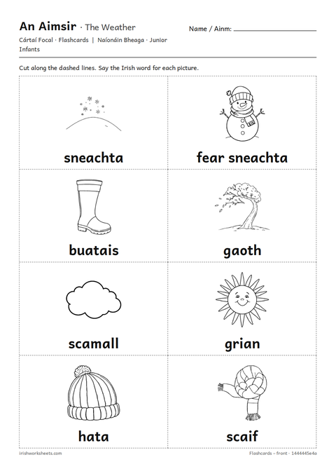 Preview of the the weather flashcards worksheet