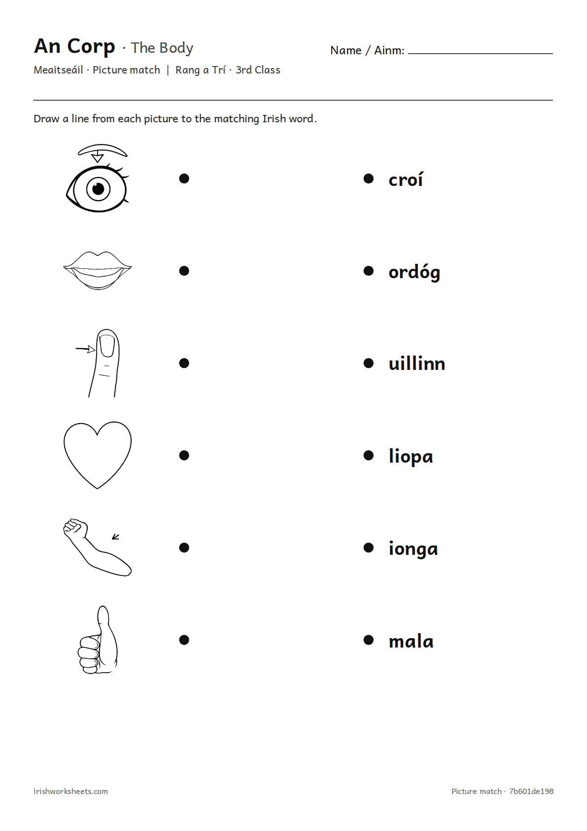 Preview of the the body picture match worksheet
